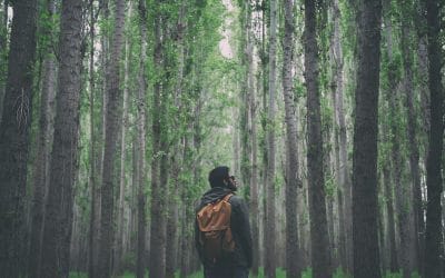 Loneliness
