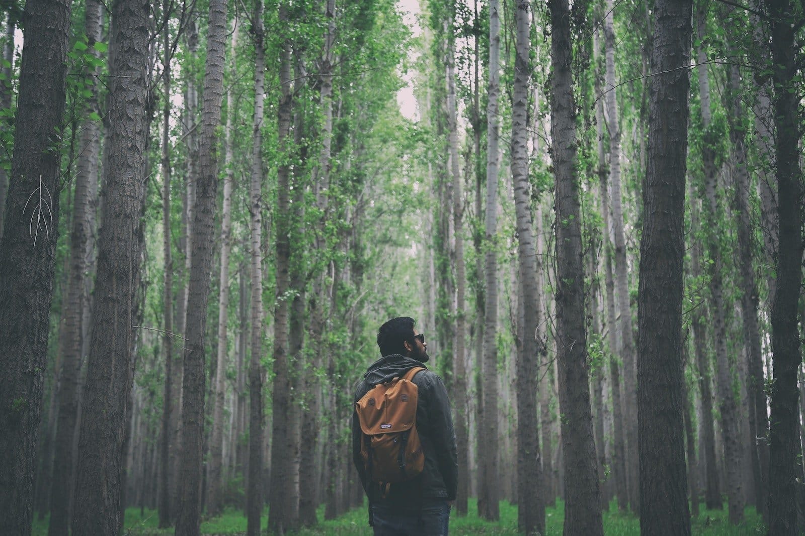 Loneliness. Man with backpack in the middle of tall trees.