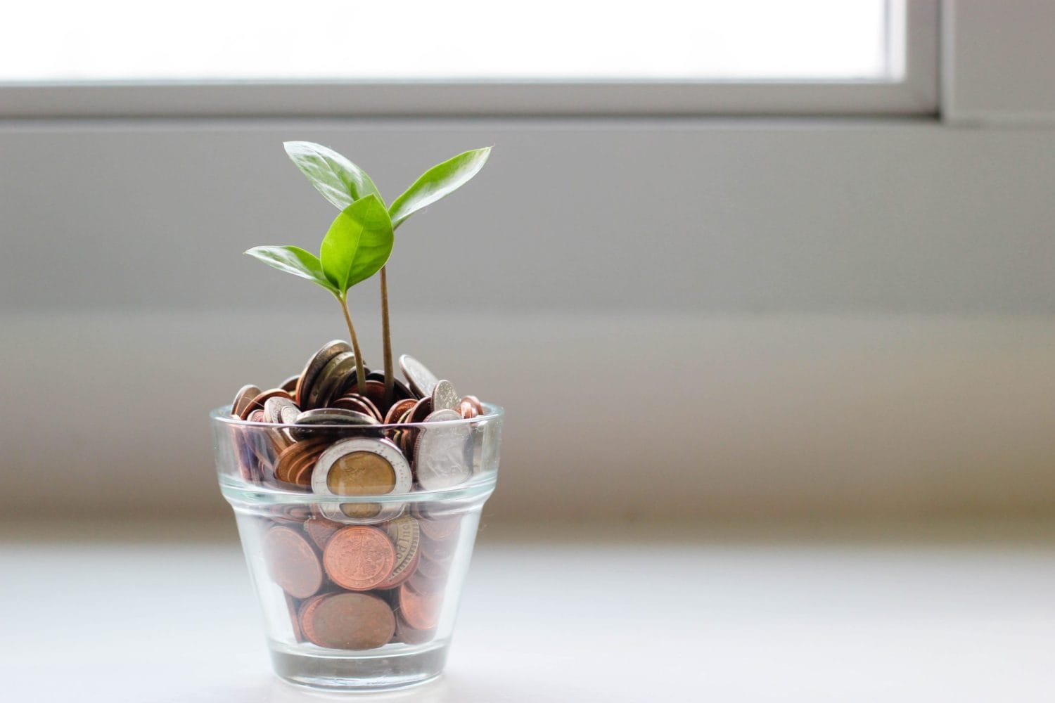 make money as a yoga teacher
